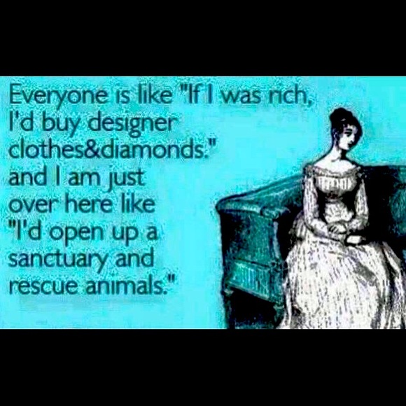 Meet your Posher, Kelly… Open to offers :) open to trades ! - Picture 1 of 1